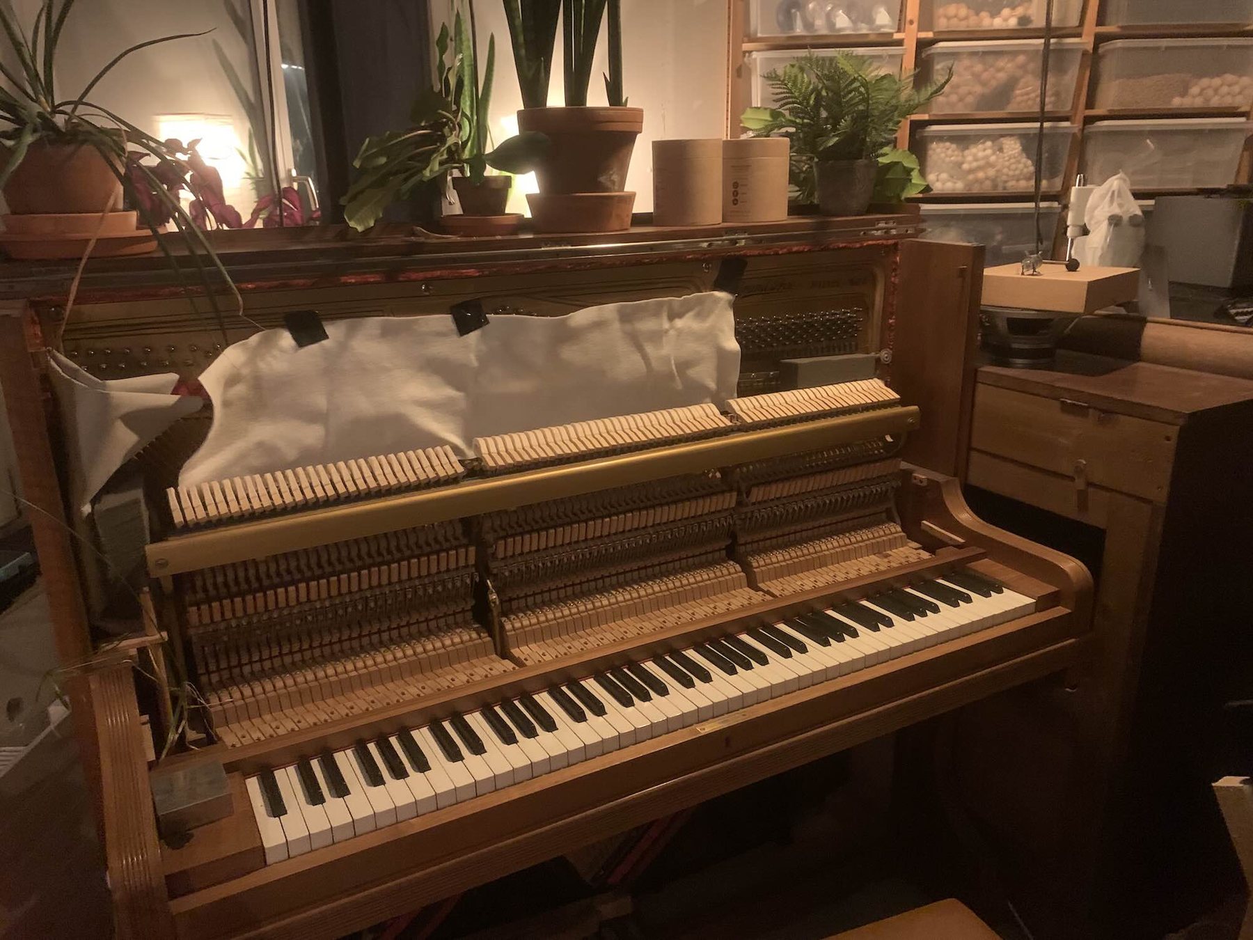 Il pianoforte con le ossa a nudo